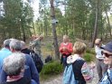 2014-06-05 11-33-56 Foret de Fontainebleau FGn